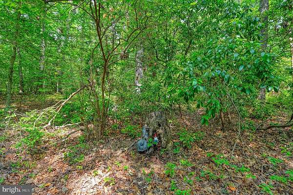 5 Acres of Land for Sale in Spotsylvania, Virginia