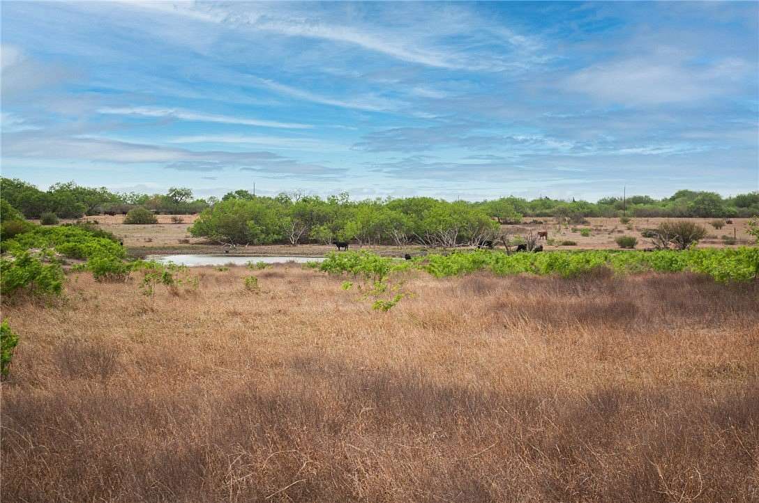 11.7 Acres of Land for Sale in Orange Grove, Texas