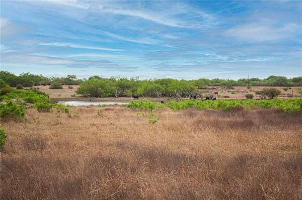 11.7 Acres of Land for Sale in Orange Grove, Texas