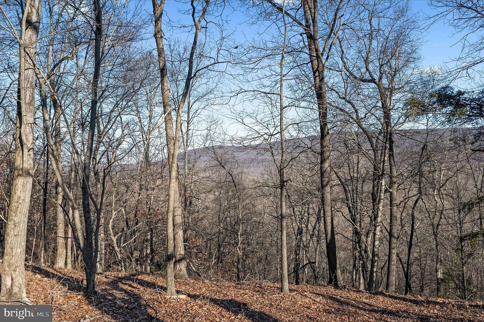 32 Acres of Recreational Land for Sale in Gore, Virginia