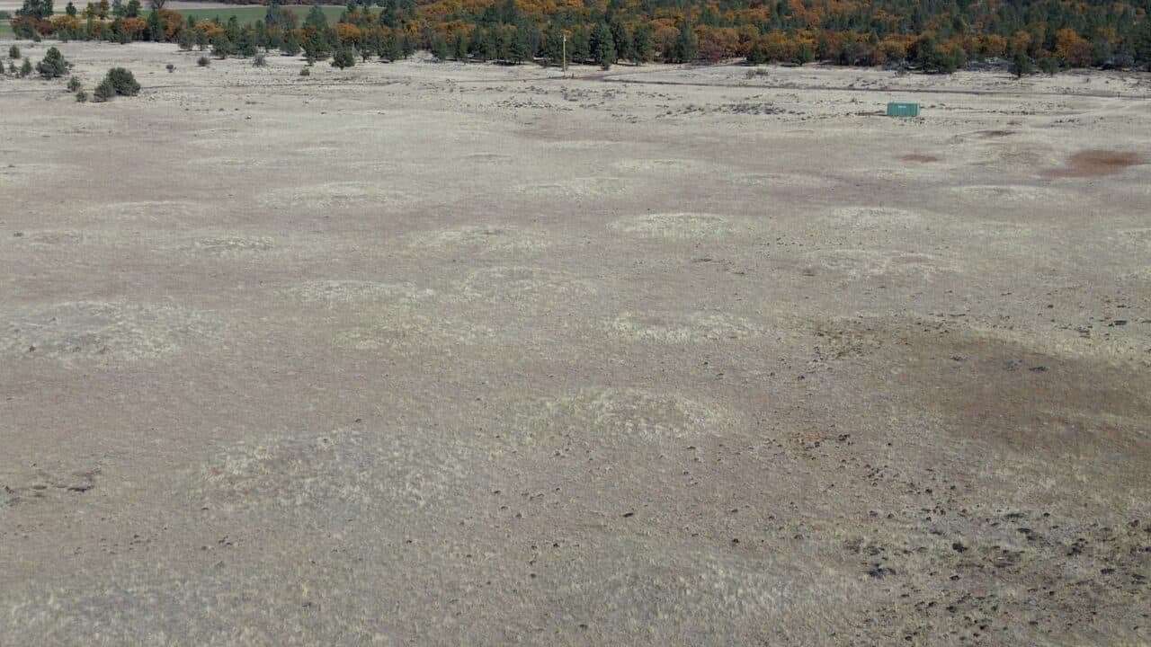 10.5 Acres of Recreational Land for Sale in McArthur, California