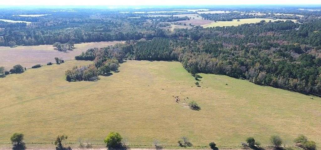 154 Acres of Agricultural & Residential Land for Sale in Grapeland, Texas