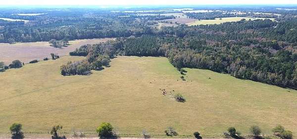 154 Acres of Agricultural & Residential Land for Sale in Grapeland, Texas