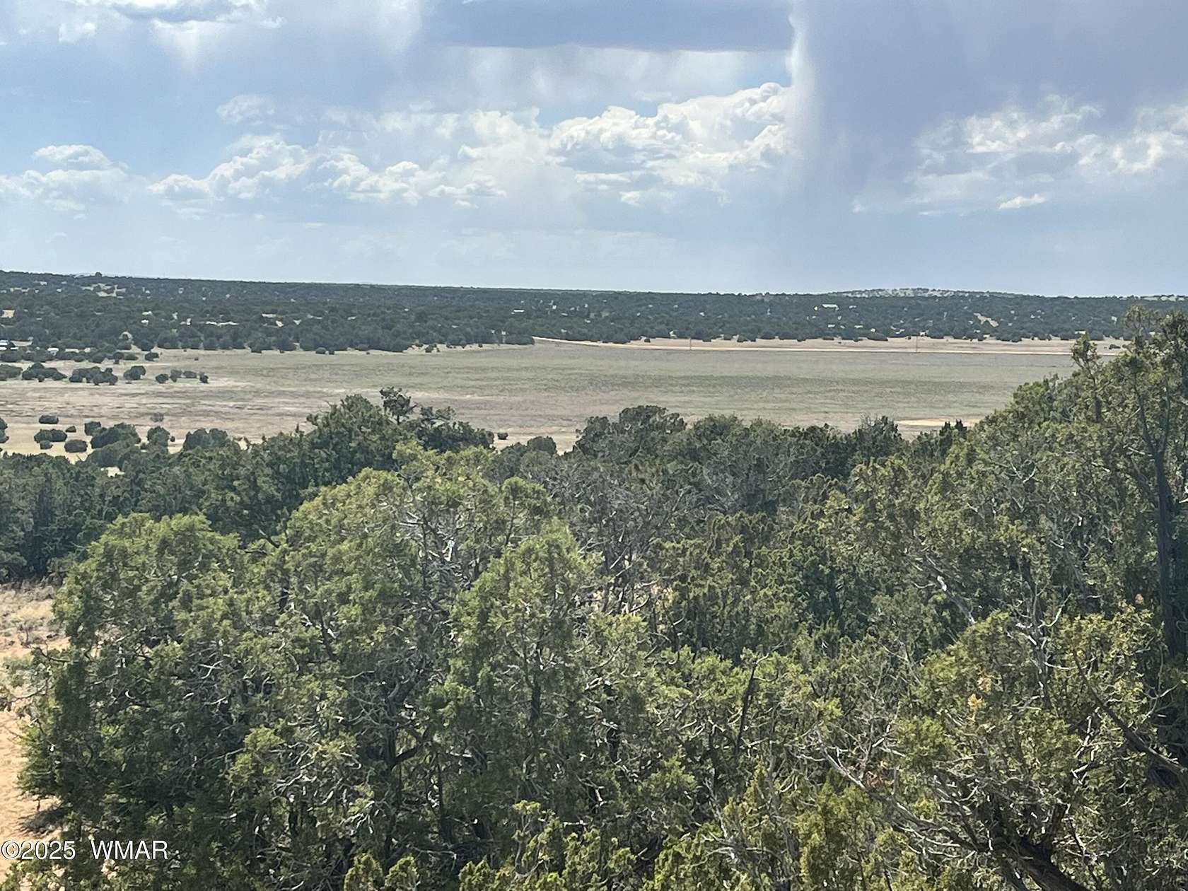 80 Acres of Recreational Land for Sale in Concho, Arizona