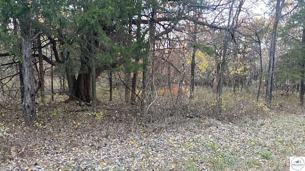 41.4 Acres of Recreational Land for Sale in Sedalia, Missouri