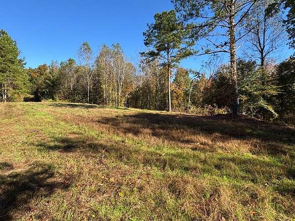 71 Acres of Recreational Land for Sale in New Albany, Mississippi