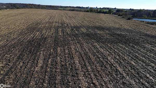 44 Acres of Recreational Land & Farm for Sale in Bloomfield, Iowa