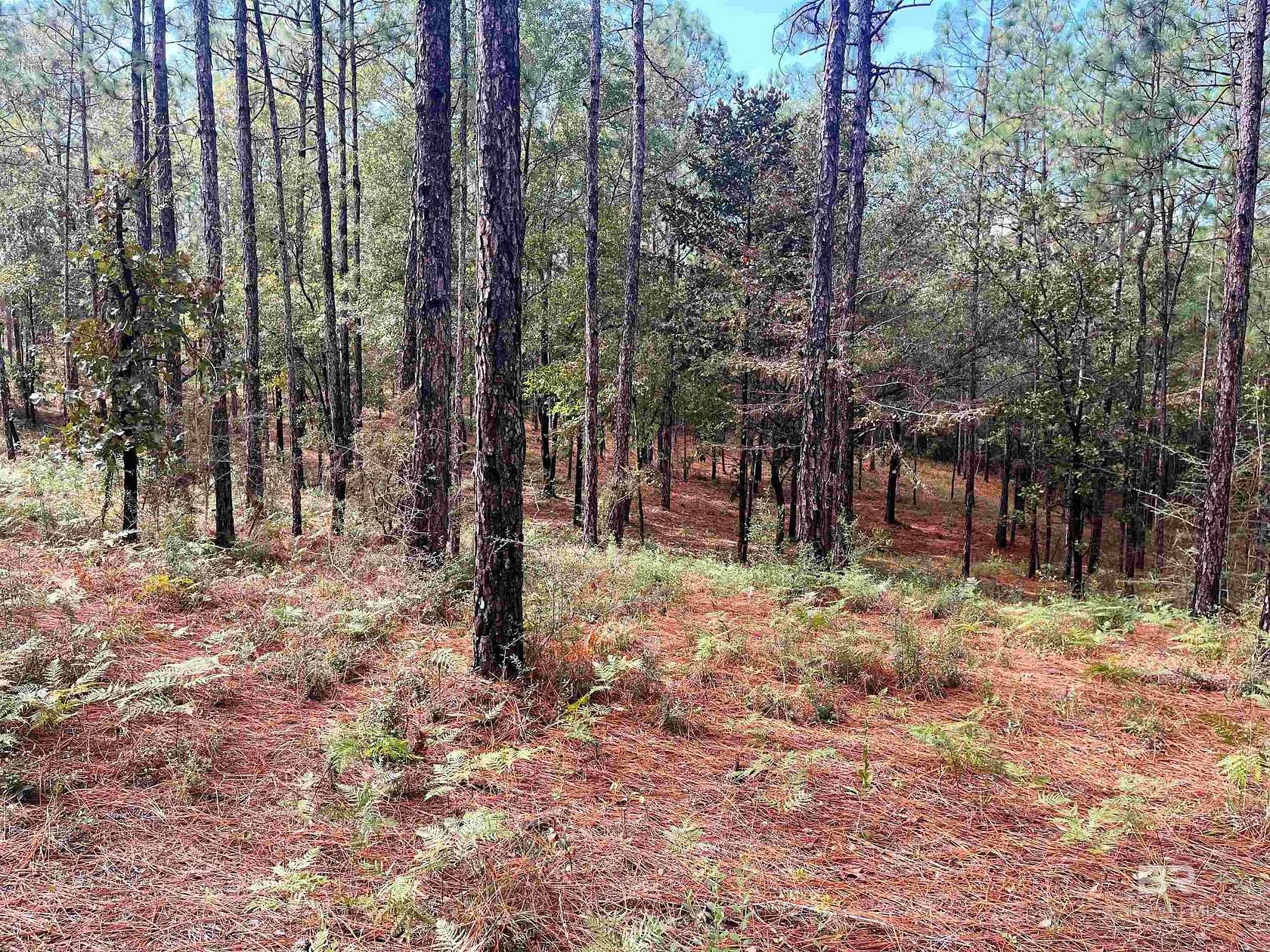 2.16 Acres of Residential Land for Sale in Bay Minette, Alabama