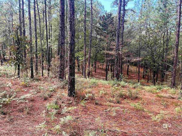 2.16 Acres of Residential Land for Sale in Bay Minette, Alabama