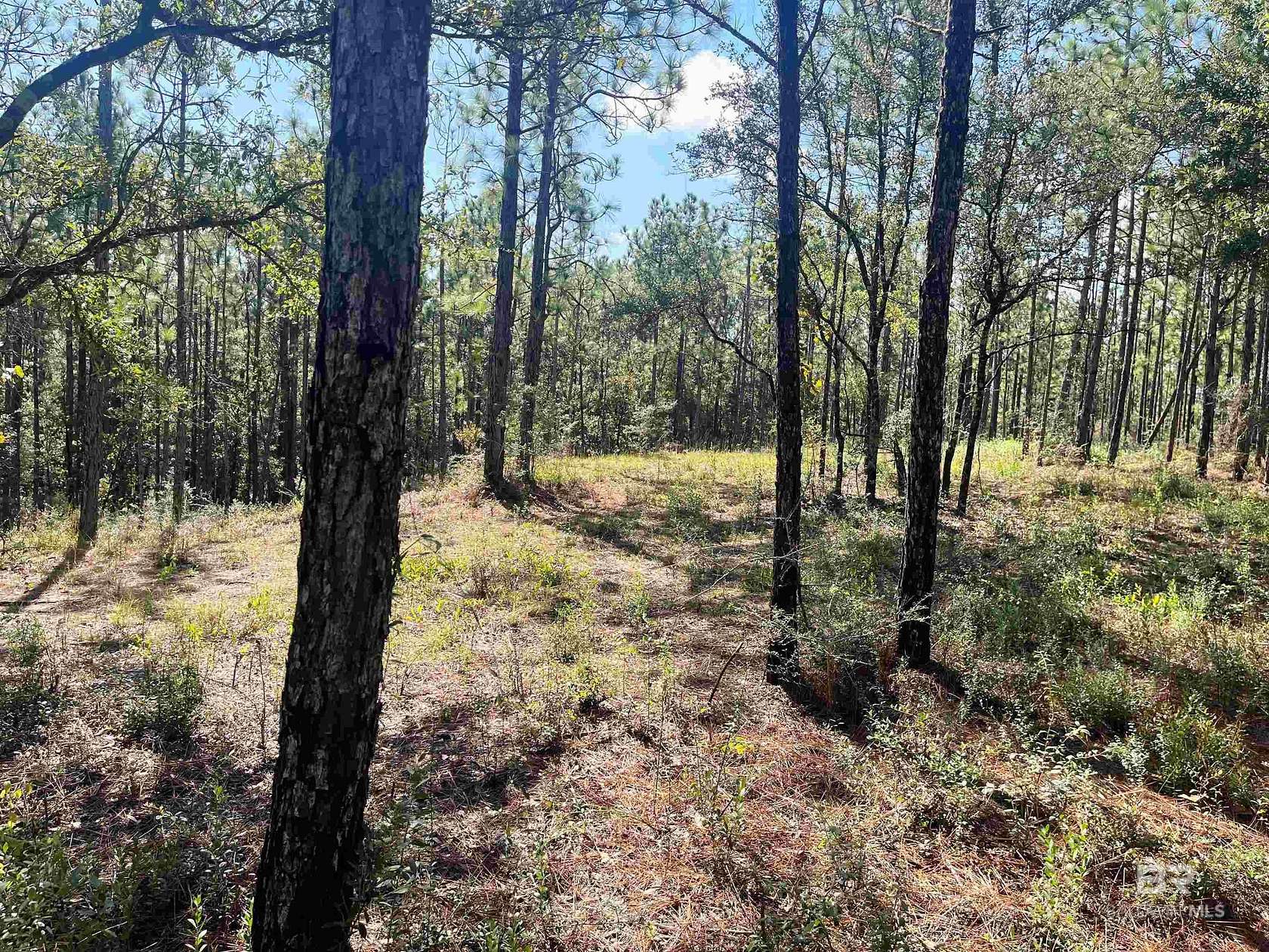 2.2 Acres of Residential Land for Sale in Bay Minette, Alabama