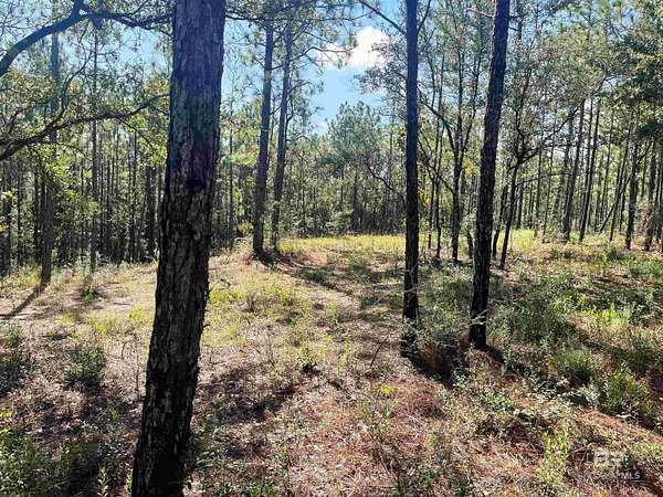 2.2 Acres of Residential Land for Sale in Bay Minette, Alabama