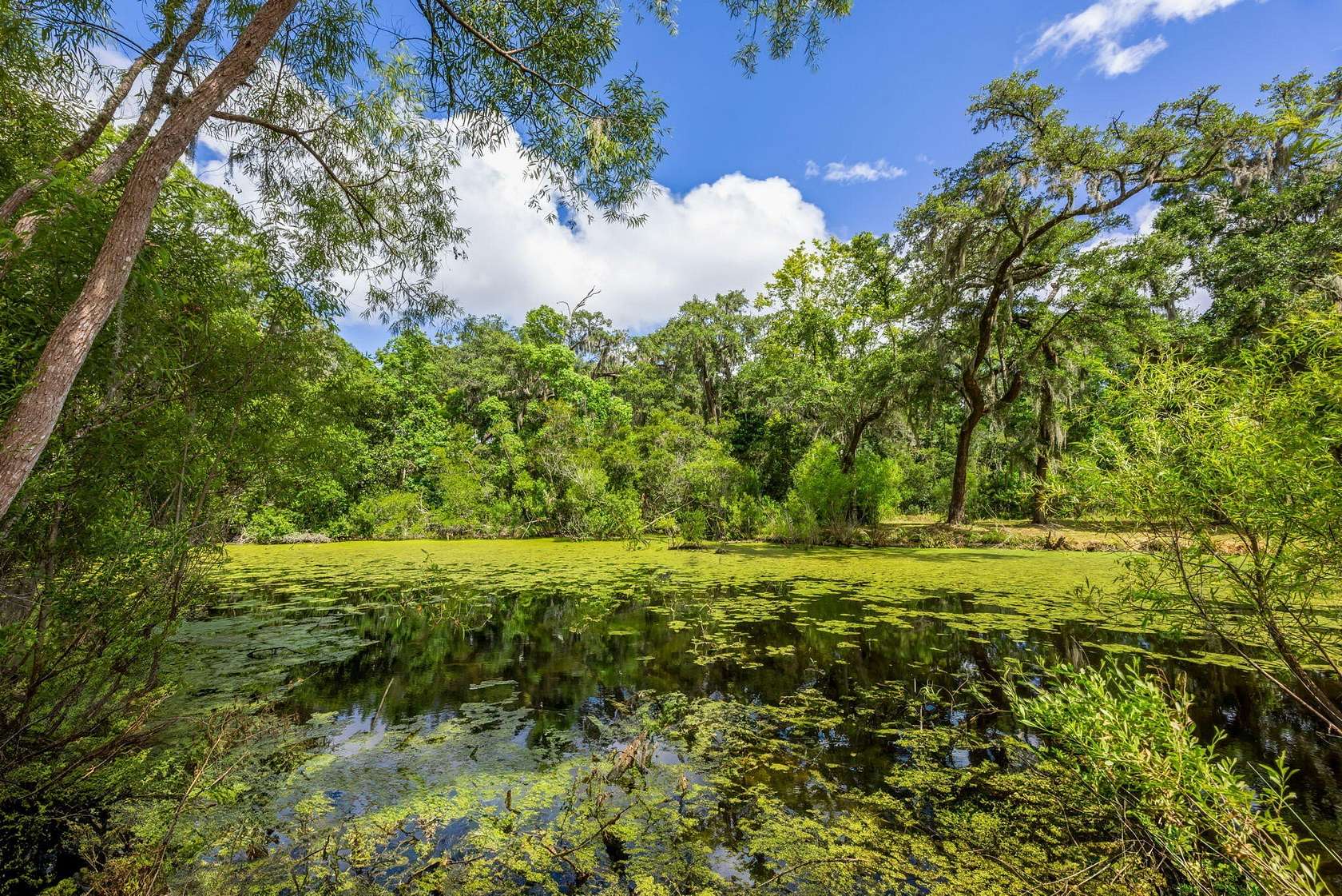 5 Acres of Land for Sale in Johns Island, South Carolina