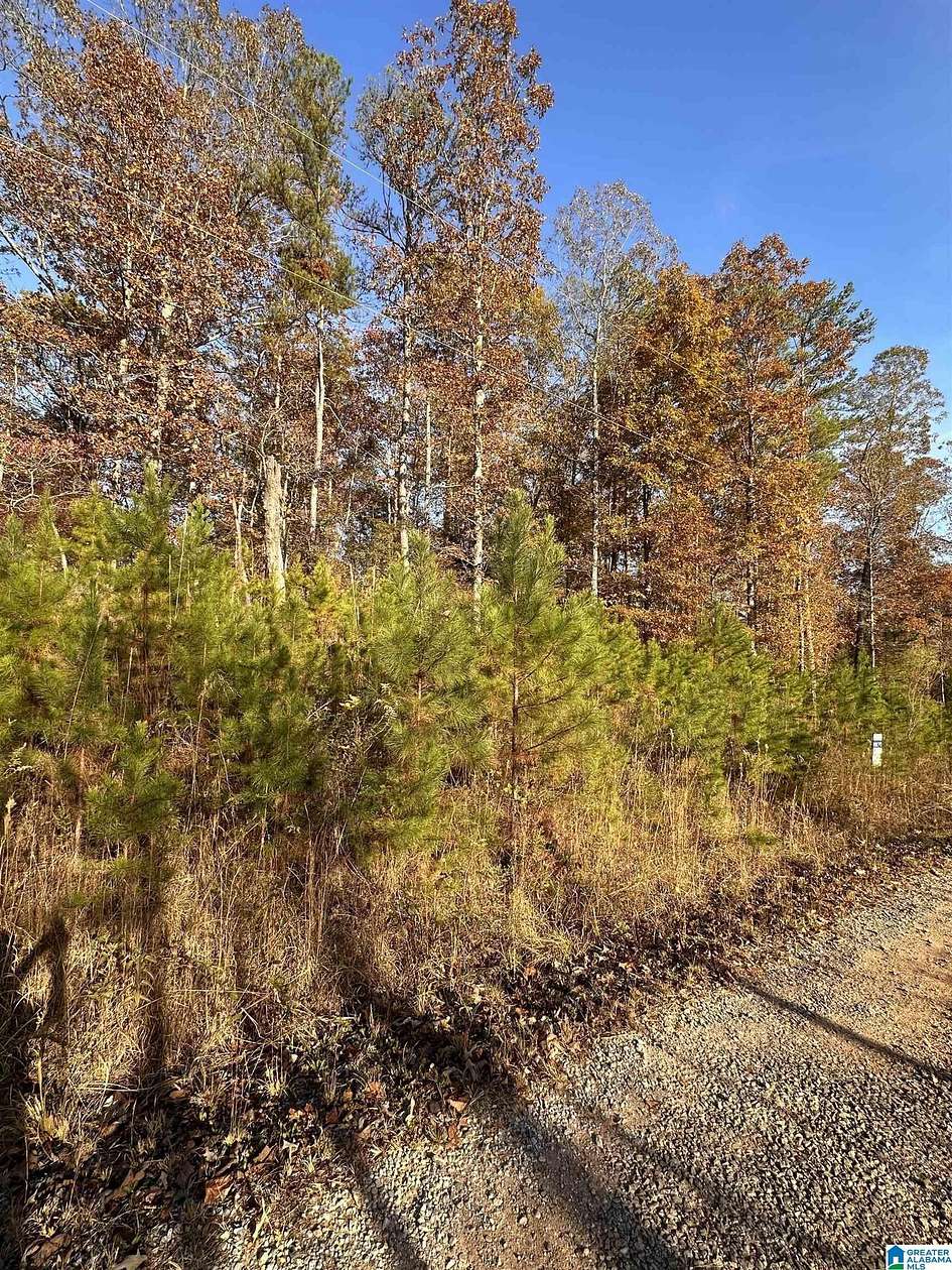 2.82 Acres of Land for Sale in Wedowee, Alabama