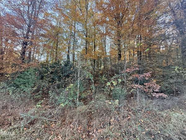 2.34 Acres of Residential Land for Sale in Newport, Tennessee