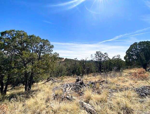 0.66 Acres of Residential Land for Sale in Timberon, New Mexico