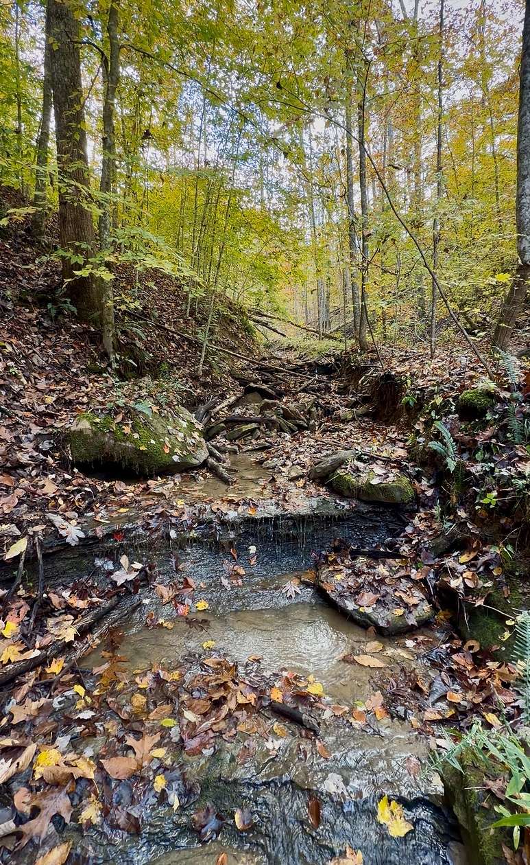 47 Acres of Land for Sale in Robbins, Tennessee