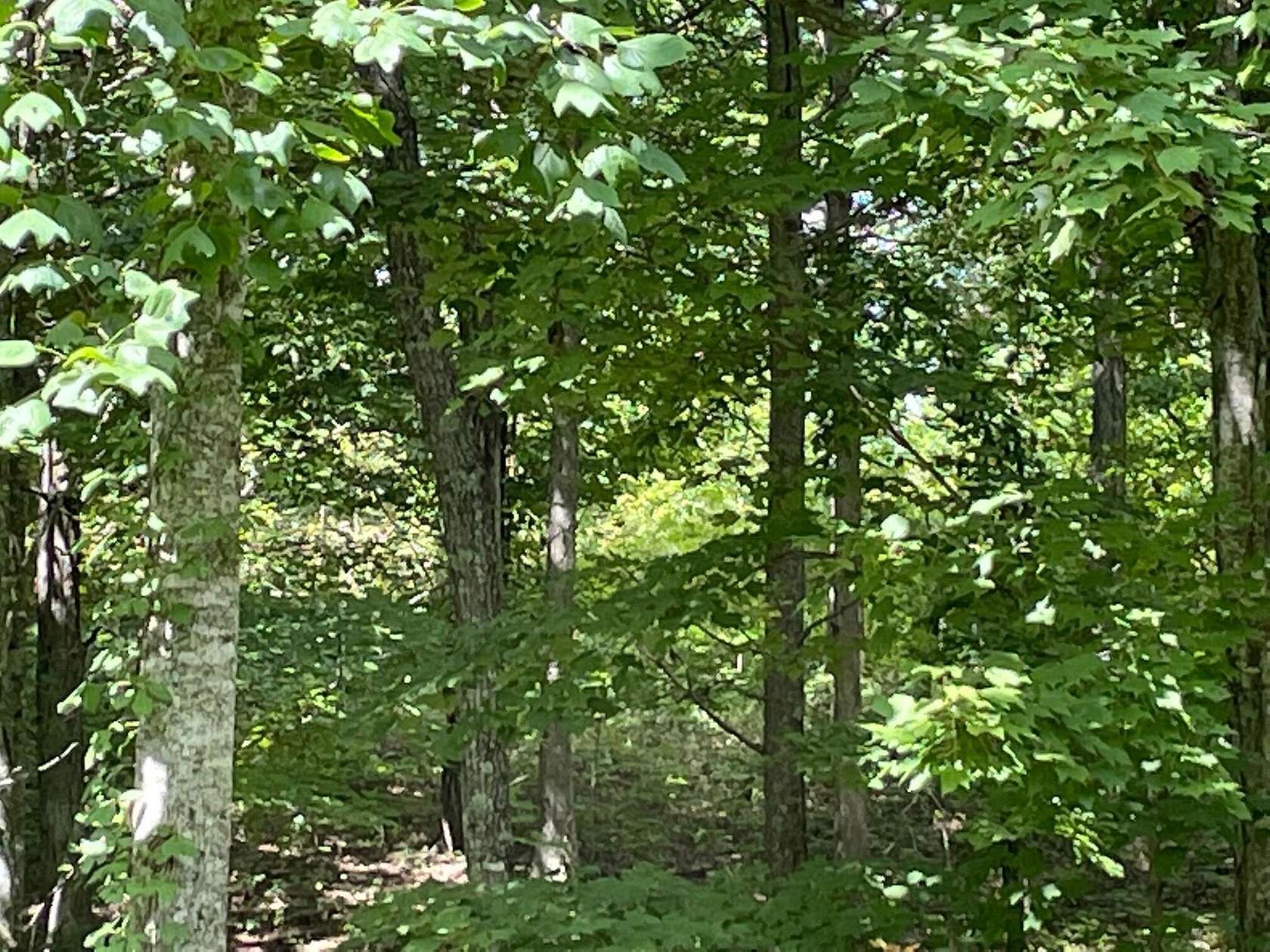 2.1 Acres of Residential Land for Sale in Dunlap, Tennessee