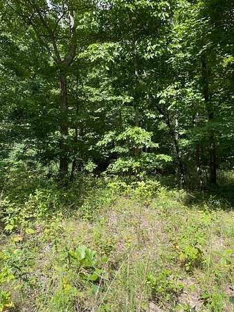 2.1 Acres of Residential Land for Sale in Dunlap, Tennessee