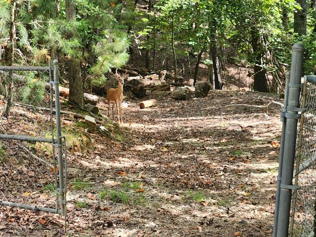 1 Acre of Land for Sale in Ellijay, Georgia