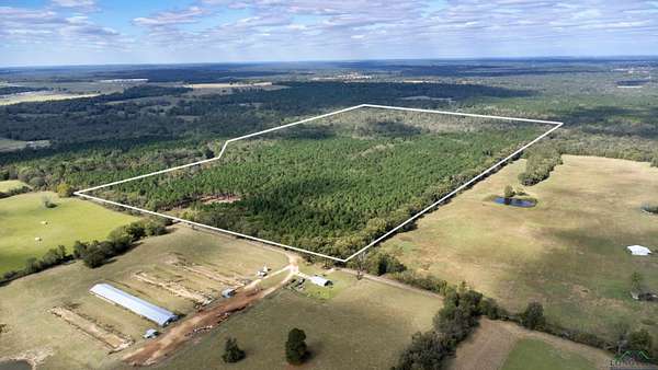 95 Acres of Land for Sale in Pittsburg, Texas