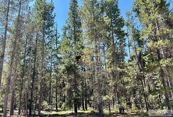 0.4 Acres of Land for Sale in Island Park, Idaho