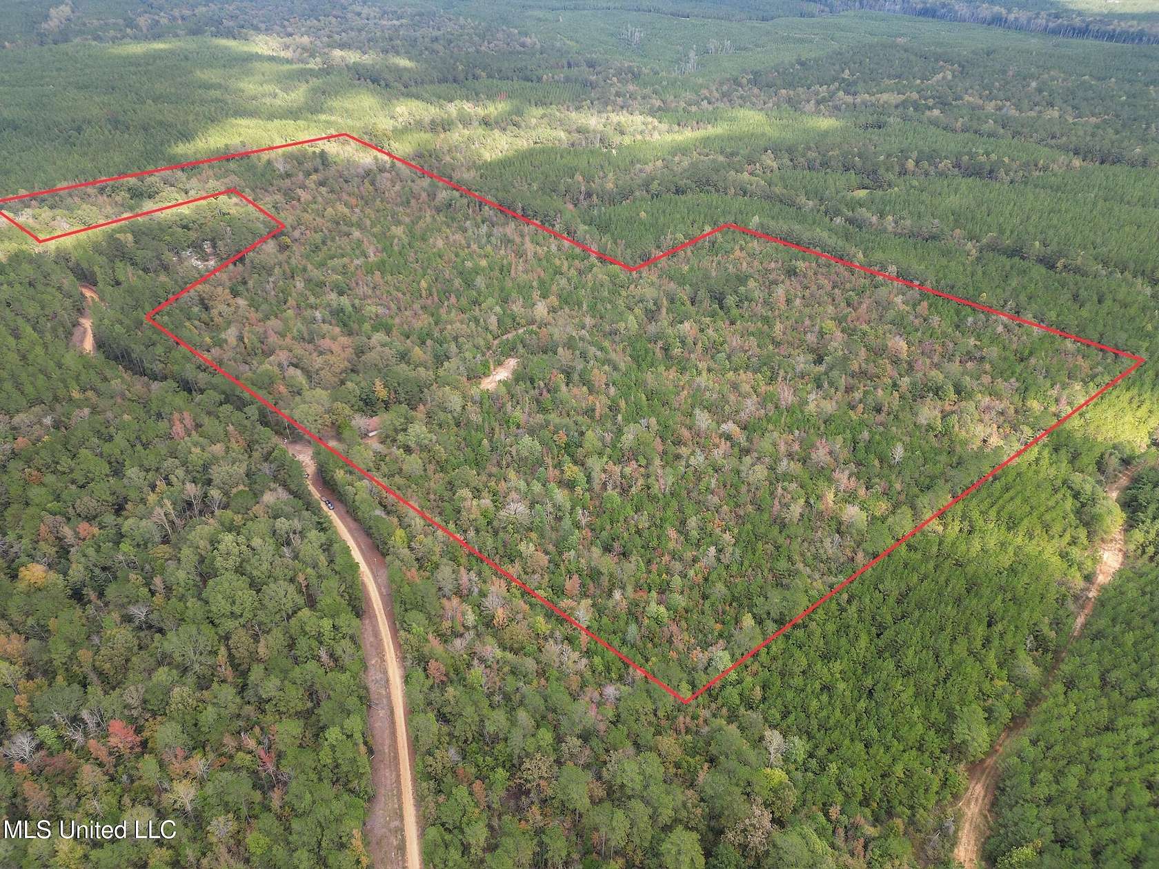 58.2 Acres of Recreational Land for Sale in Pinola, Mississippi
