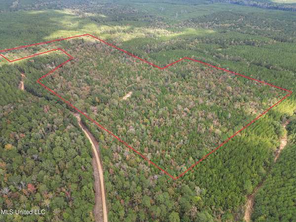 58.2 Acres of Recreational Land for Sale in Pinola, Mississippi