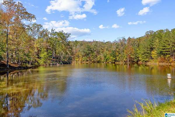 9.62 Acres of Improved Mixed-Use Land for Sale in Helena, Alabama