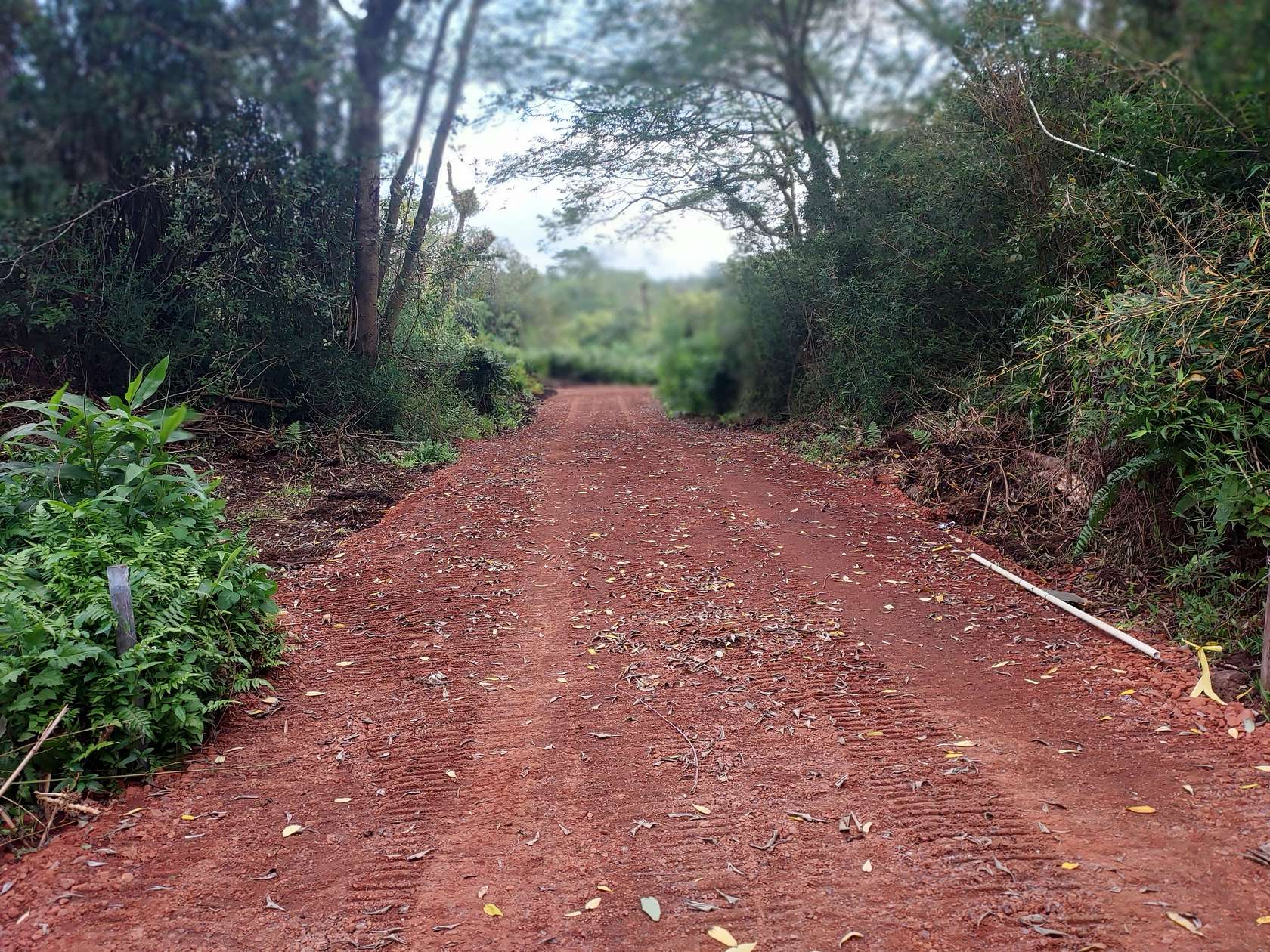 13.4 Acres of Land for Sale in Mountain View, Hawaii