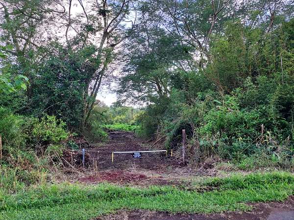 13.4 Acres of Agricultural Land for Sale in Mountain View, Hawaii