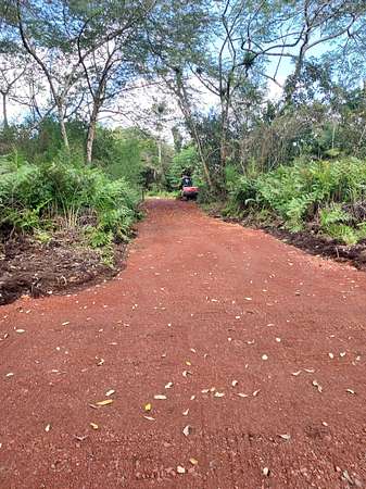 13.4 Acres of Land for Sale in Mountain View, Hawaii