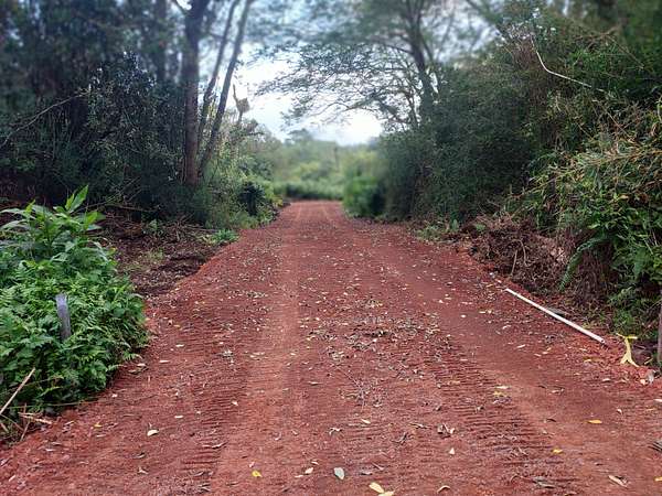 13.4 Acres of Land for Sale in Mountain View, Hawaii