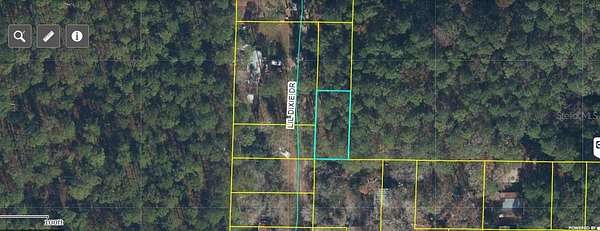 1 Acre of Residential Land for Sale in Sanderson, Florida