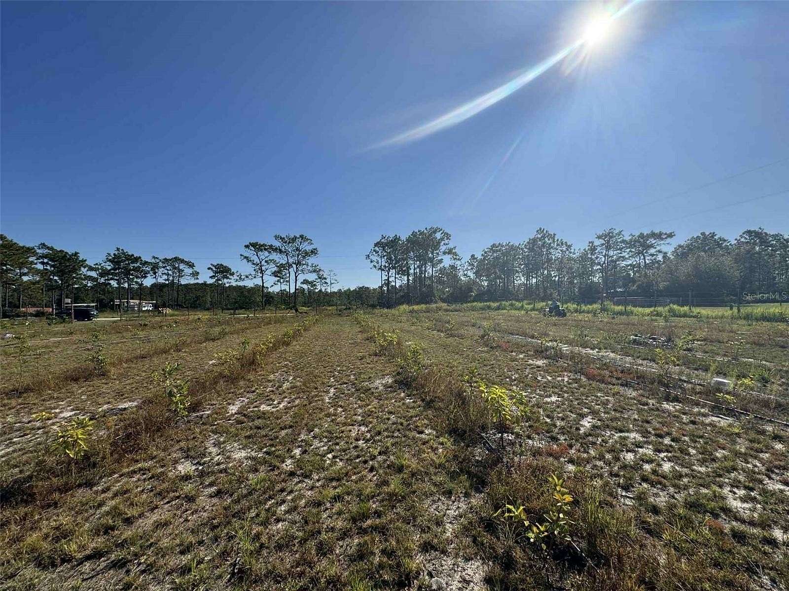 2.5 Acres of Residential Land for Sale in St. Cloud, Florida