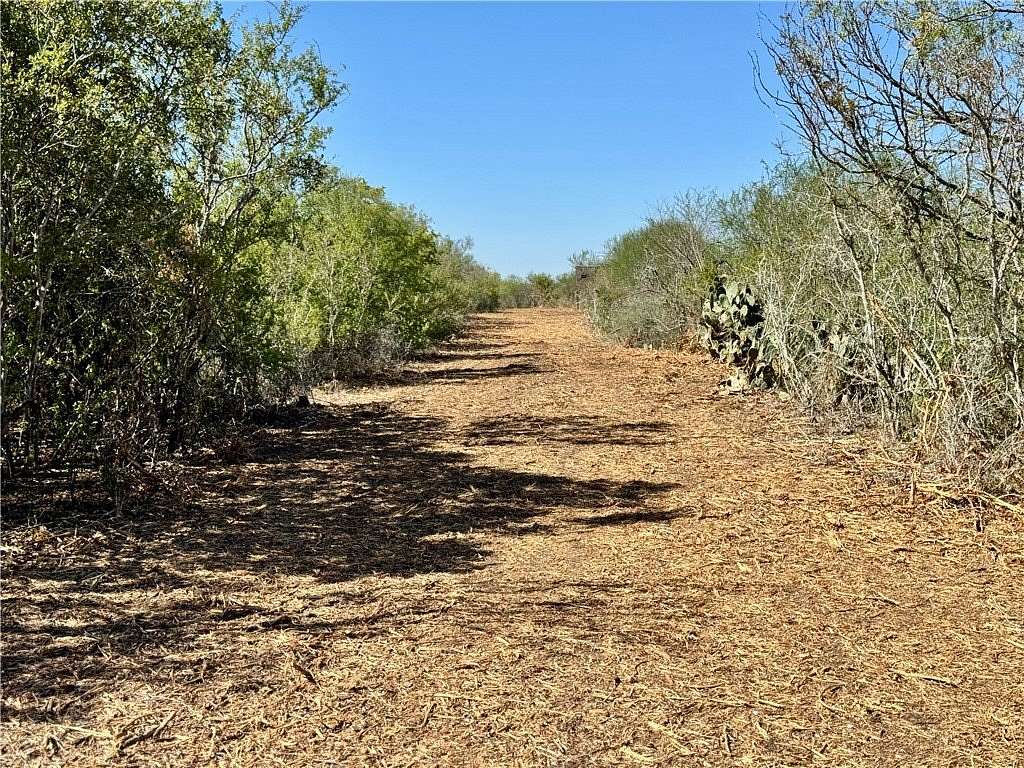 11 Acres of Recreational Land for Sale in Runge, Texas
