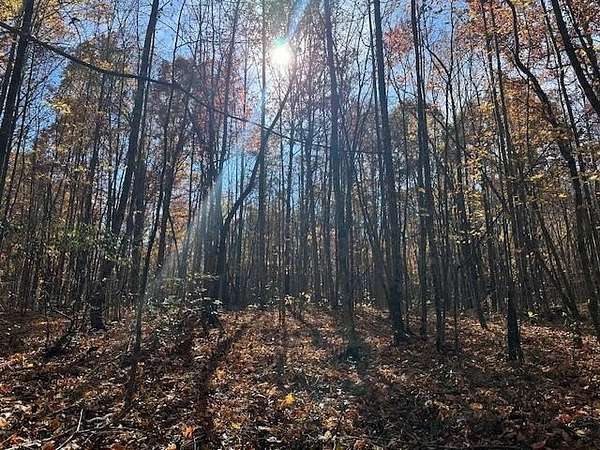 5.52 Acres of Residential Land for Sale in Wilder, Tennessee