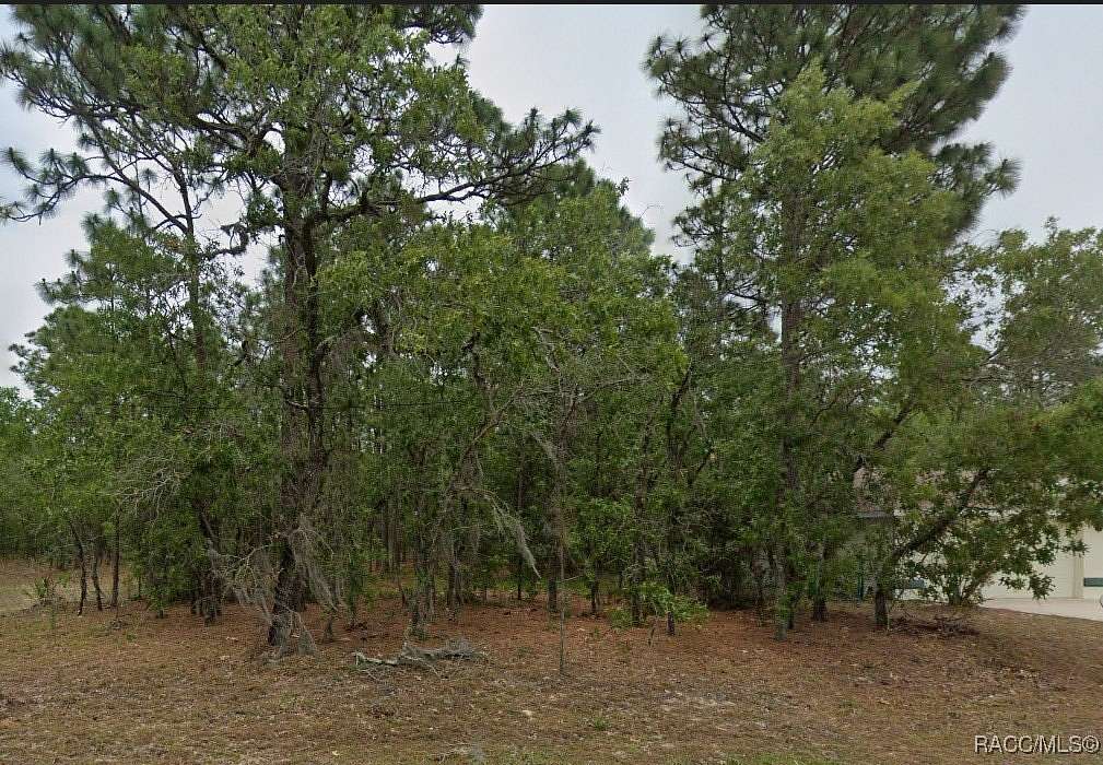 0.23 Acres of Residential Land for Sale in Citrus Springs, Florida