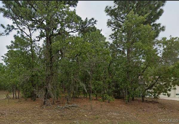 0.23 Acres of Residential Land for Sale in Citrus Springs, Florida
