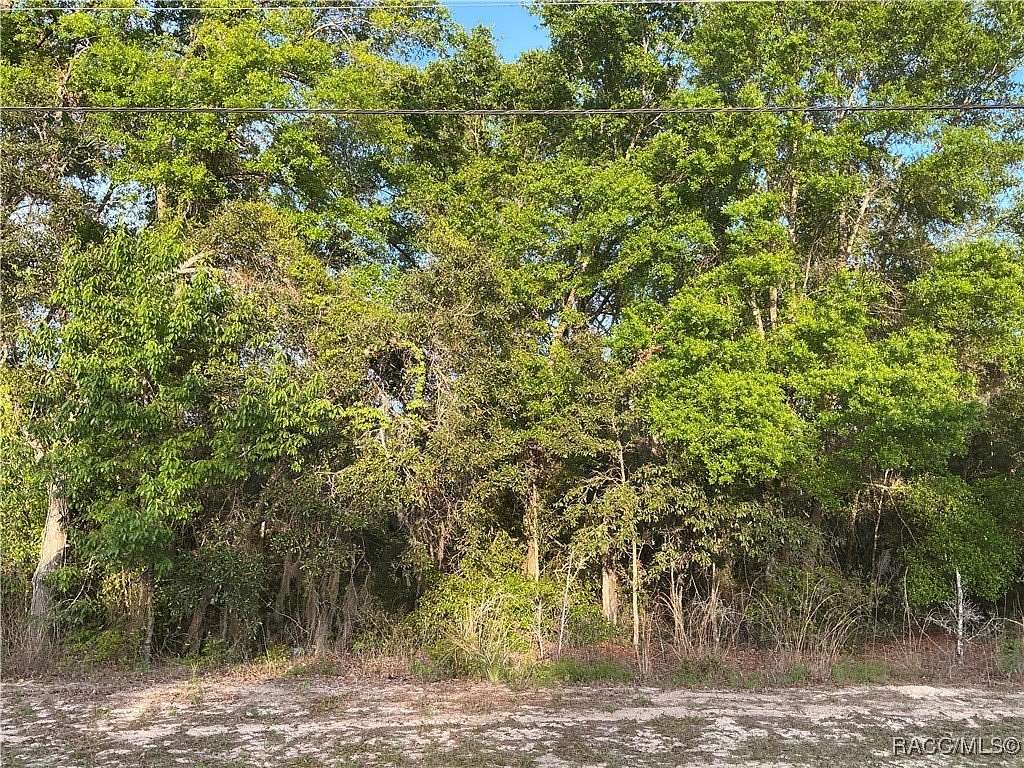 1 Acre of Residential Land for Sale in Lecanto, Florida
