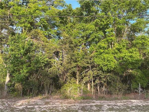 1 Acre of Residential Land for Sale in Lecanto, Florida