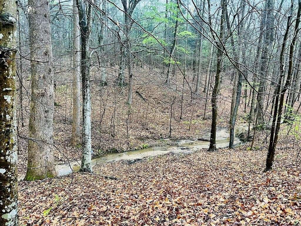 7 Acres of Residential Land for Sale in Abbeville, South Carolina