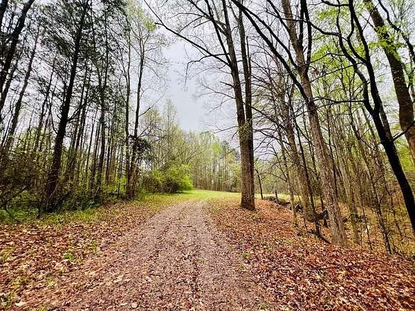 7 Acres of Residential Land for Sale in Abbeville, South Carolina