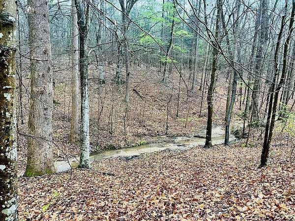 7 Acres of Residential Land for Sale in Abbeville, South Carolina