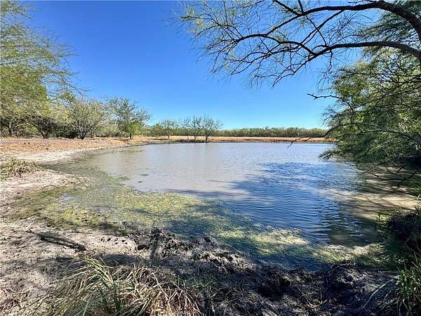 20 Acres of Recreational Land & Farm for Sale in Falls City, Texas
