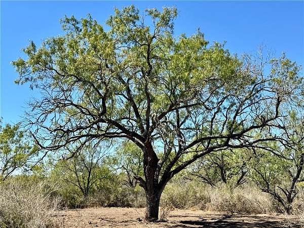 29.6 Acres of Recreational Land & Farm for Sale in Fashing, Texas