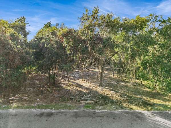 0.87 Acres of Residential Land for Sale in Leesburg, Florida