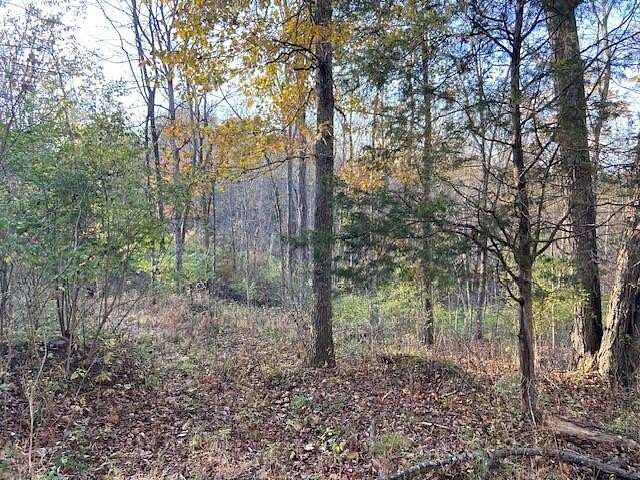 11.2 Acres of Land for Sale in Brooksville, Kentucky