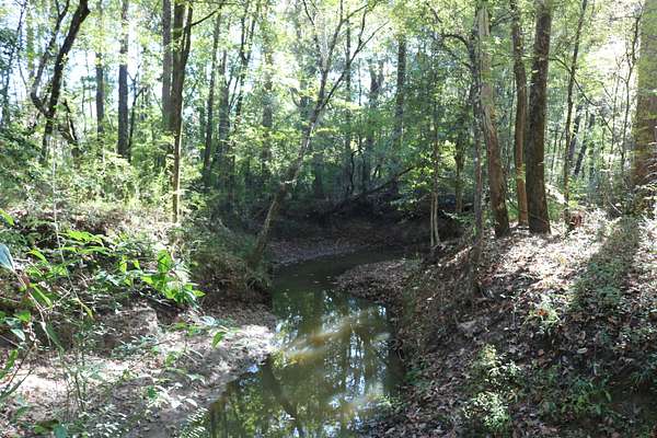 31 Acres of Land for Sale in Hemphill, Texas