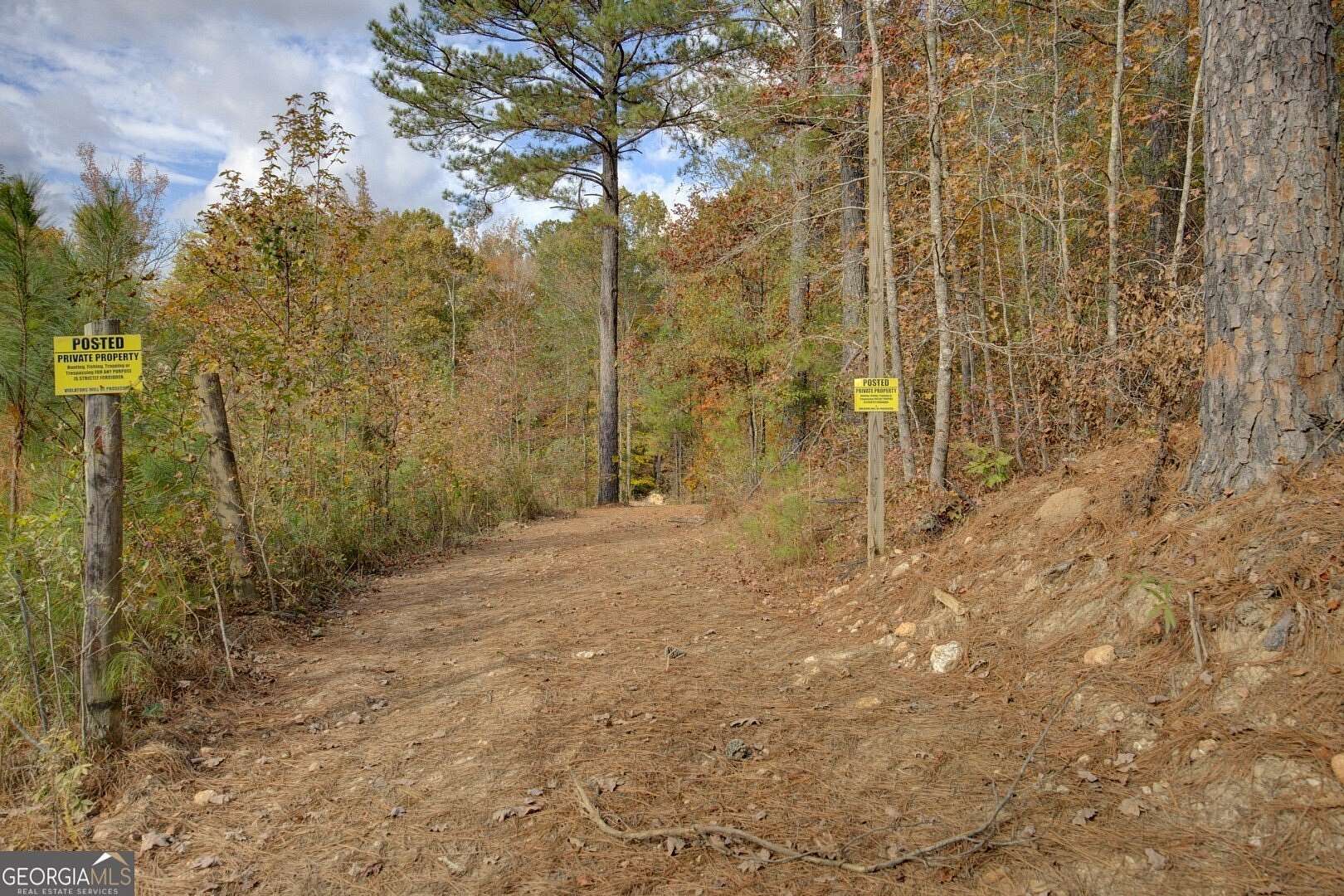 7.37 Acres of Agricultural Land for Sale in Monticello, Georgia