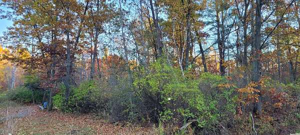 0.34 Acres of Residential Land for Sale in Pentwater, Michigan
